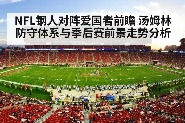 NFL钢人对阵爱国者前瞻 汤姆林防守体系与季后赛前景走势分析